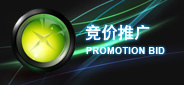 岳阳网络公司